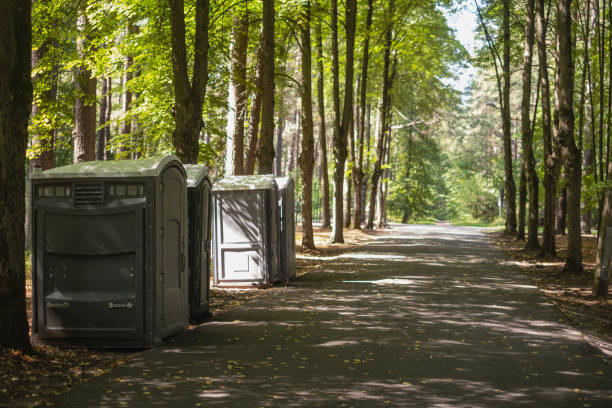 Best Luxury portable toilet rental  in Paulding, OH